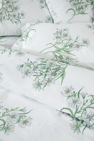 a40d606f-7f9d-4d67-a520-9fe8029d7a98